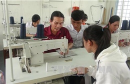 Lao động trình độ sơ cấp thu nhập cao hơn nhóm trung cấp và cao đẳng